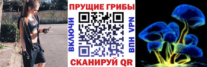 Псилоцибиновые грибы MAGIC MUSHROOMS Ялта