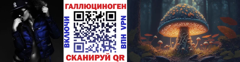 Купить где  Ялта  Галлюциногенные грибы Psilocybe 